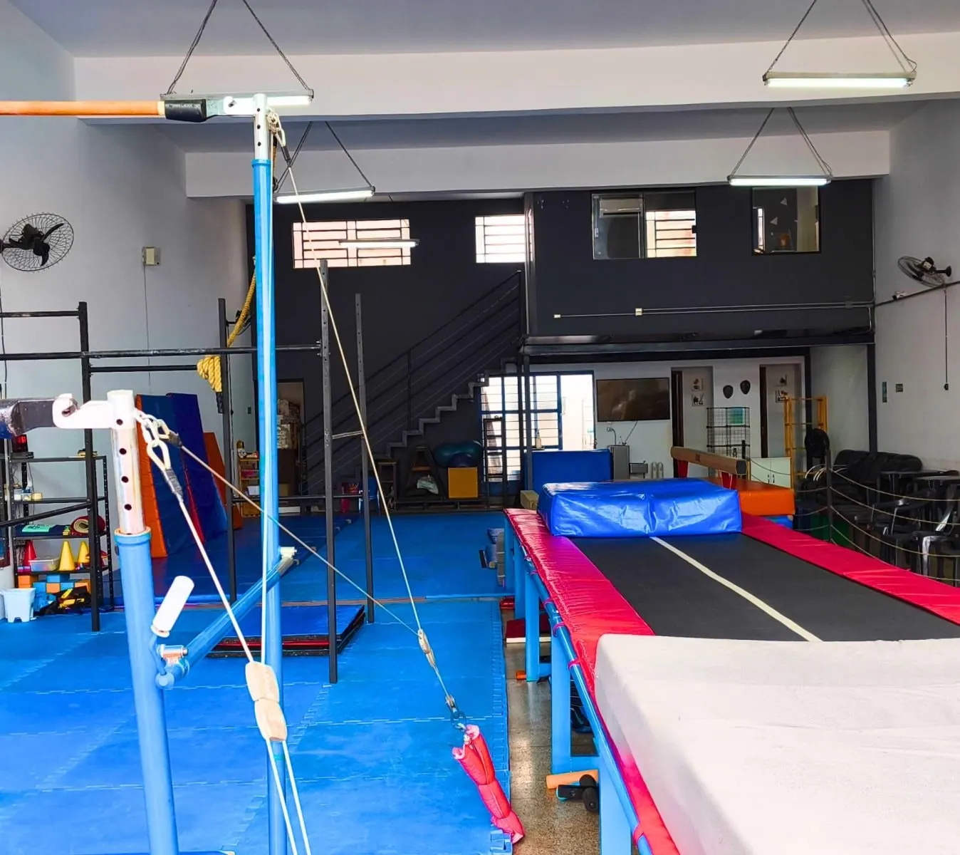 Baby Gym — Ginástica Artística na CatLeap Gym