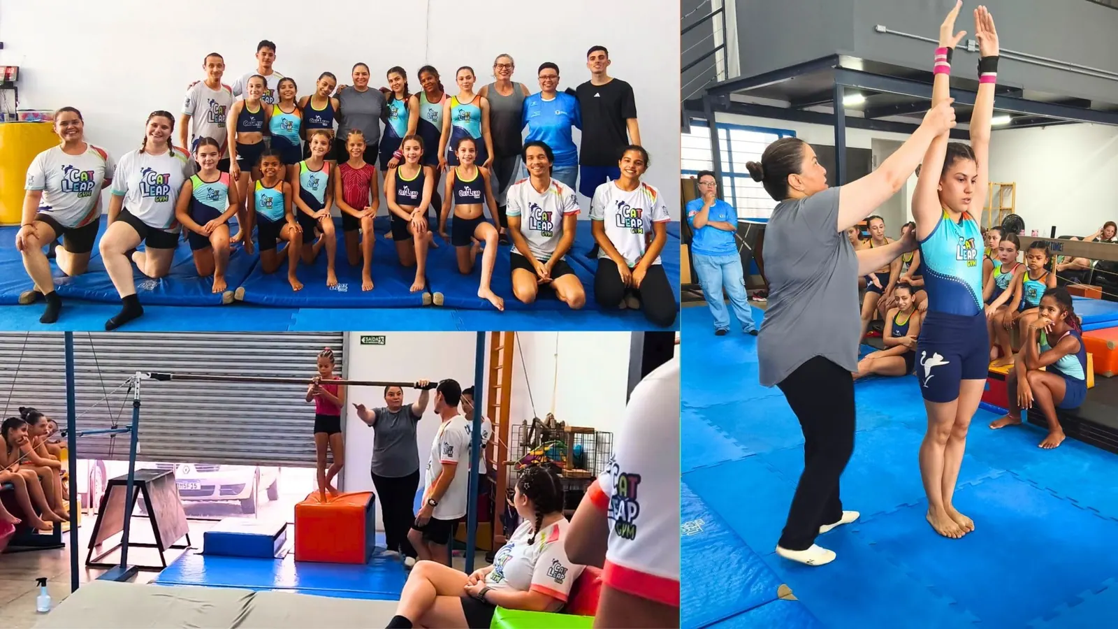 Curso de atualização com Roseane Costa