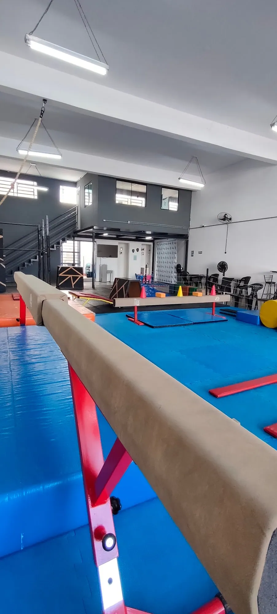 Trampolim e área de saltos da CatLeap Gym